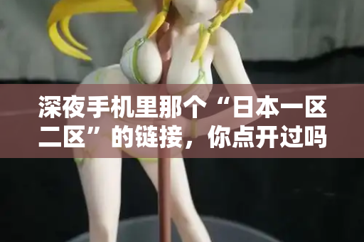 深夜手机里那个“日本一区二区”的链接,你点开过吗? 第2张 深夜手机里那个“日本一区二区”的链接,你点开过吗? 第2张