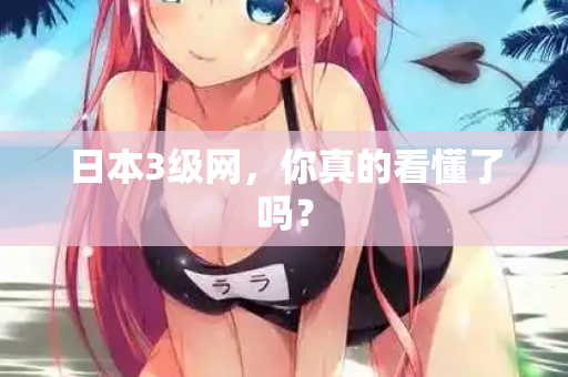 日本3级网，你真的看懂了吗？