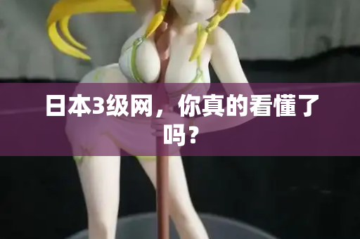 日本3级网，你真的看懂了吗？  第2张