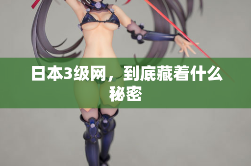 日本3级网，到底藏着什么秘密
