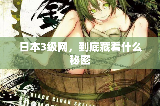日本3级网，到底藏着什么秘密