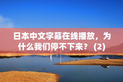 日本中文字幕在线播放，为什么我们停不下来？ (2)