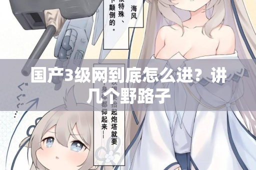 国产3级网到底怎么进?讲几个野路子 第1张 国产3级网到底怎么进?讲几个野路子 第1张