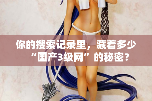 你的搜索记录里,藏着多少“国产3级网”的秘密? 第3张 你的搜索记录里,藏着多少“国产3级网”的秘密? 第3张