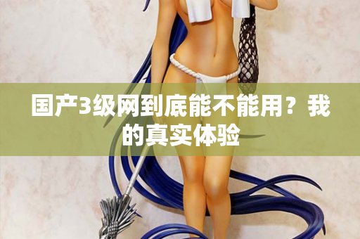 国产3级网到底能不能用?我的真实体验 第2张 国产3级网到底能不能用?我的真实体验 第2张