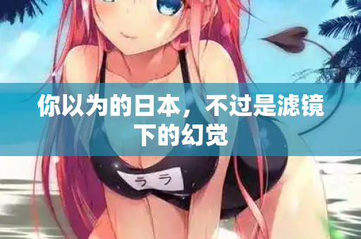 你以为的日本,不过是滤镜下的幻觉 第1张 你以为的日本,不过是滤镜下的幻觉 第1张