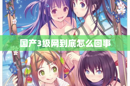国产3级网到底怎么回事 第2张 国产3级网到底怎么回事 第2张