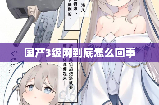 国产3级网到底怎么回事 第3张 国产3级网到底怎么回事 第3张