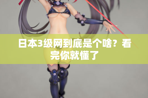 日本3级网到底是个啥？看完你就懂了