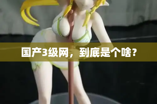 国产3级网，到底是个啥？