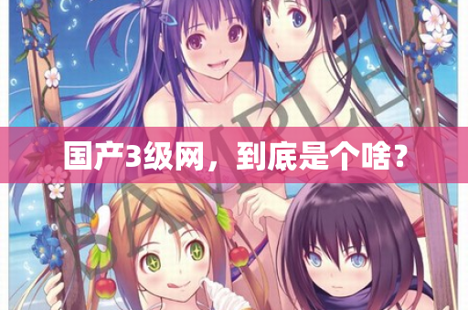 国产3级网，到底是个啥？  第2张