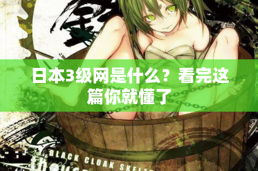 日本3级网是什么？看完这篇你就懂了  第2张