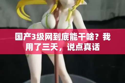 国产3级网到底能干啥?我用了三天,说点真话 第3张 国产3级网到底能干啥?我用了三天,说点真话 第3张