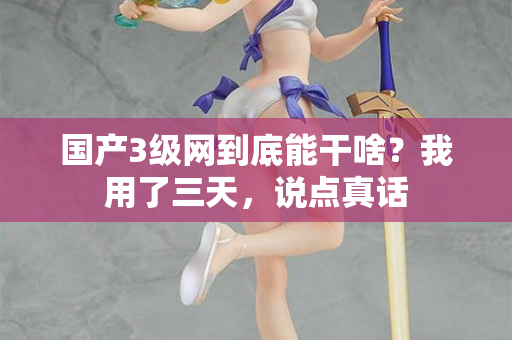 国产3级网到底能干啥?我用了三天,说点真话 第2张 国产3级网到底能干啥?我用了三天,说点真话 第2张