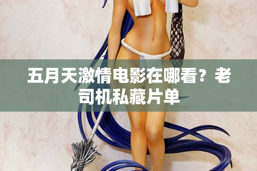 五月天激情电影在哪看？老司机私藏片单