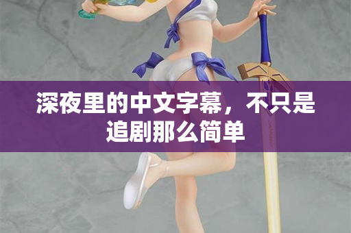 深夜里的中文字幕,不只是追剧那么简单 第1张 深夜里的中文字幕,不只是追剧那么简单 第1张