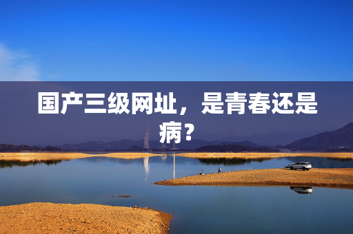 国产三级网址，是青春还是病？