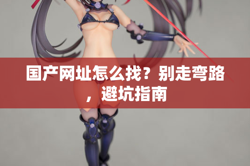 国产网址怎么找?别走弯路,避坑指南 第3张 国产网址怎么找?别走弯路,避坑指南 第3张