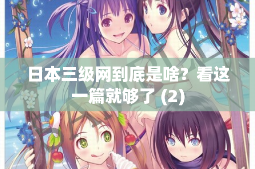 日本三级网到底是啥？看这一篇就够了 (2)