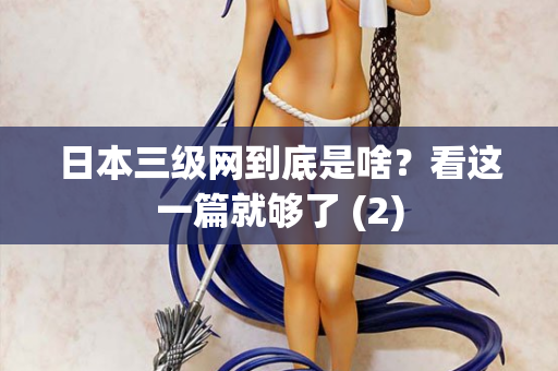 日本三级网到底是啥？看这一篇就够了 (2)