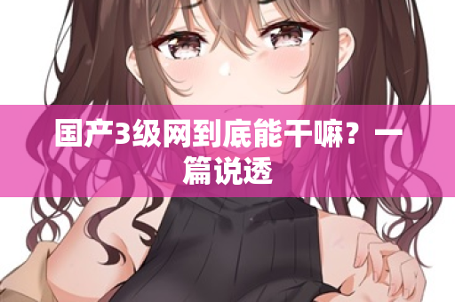 国产3级网到底能干嘛？一篇说透  第1张
