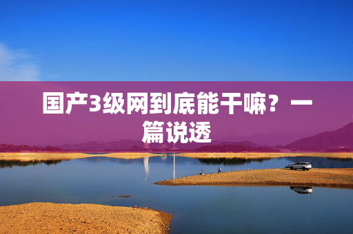 国产3级网到底能干嘛？一篇说透  第2张