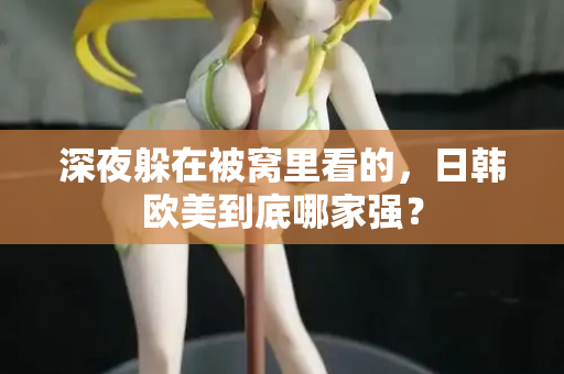 深夜躲在被窝里看的，日韩欧美到底哪家强？  第2张