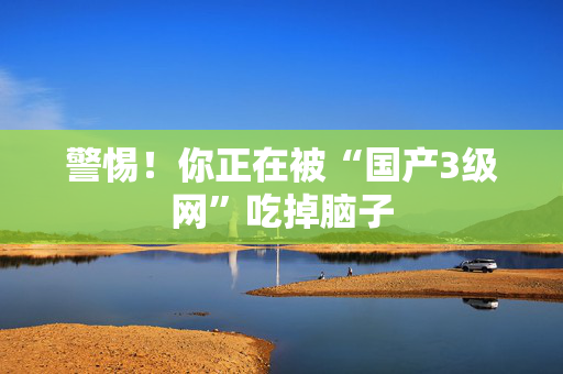 警惕!你正在被“国产3级网”吃掉脑子 第2张 警惕!你正在被“国产3级网”吃掉脑子 第2张