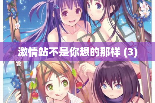 激情站不是你想的那样 (3)  第2张