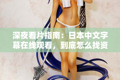 深夜看片指南：日本中文字幕在线观看，到底怎么找资源？