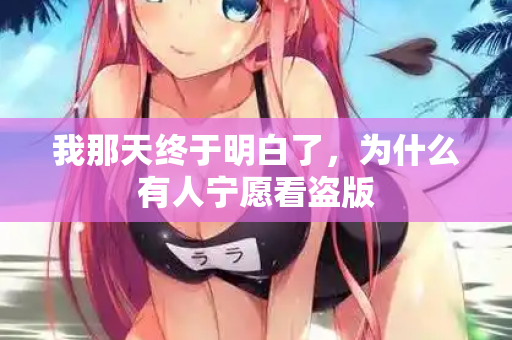 我那天终于明白了，为什么有人宁愿看盗版  第3张
