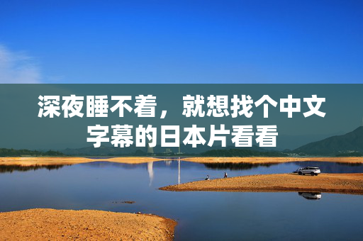 深夜睡不着,就想找个中文字幕的日本片看看 第1张 深夜睡不着,就想找个中文字幕的日本片看看 第1张