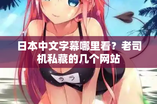 日本中文字幕哪里看？老司机私藏的几个网站
