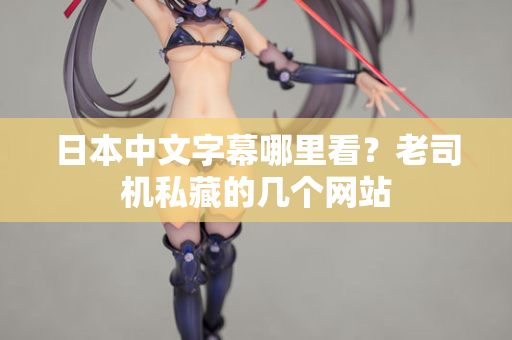 日本中文字幕哪里看？老司机私藏的几个网站
