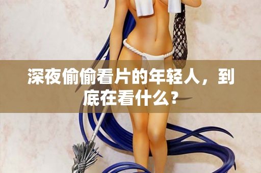 深夜偷偷看片的年轻人,到底在看什么? 第3张 深夜偷偷看片的年轻人,到底在看什么? 第3张