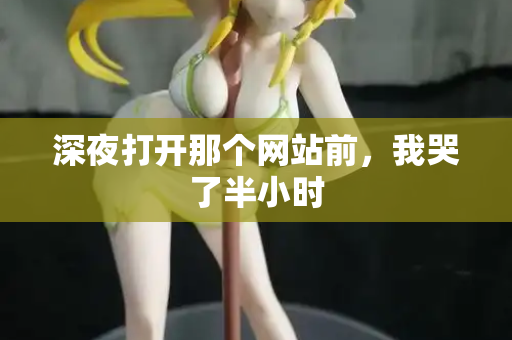 深夜打开那个网站前,我哭了半小时 第1张 深夜打开那个网站前,我哭了半小时 第1张