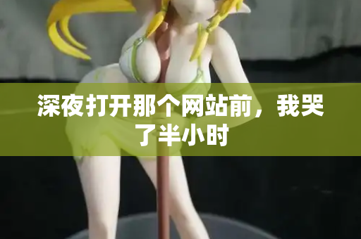 深夜打开那个网站前,我哭了半小时 第2张 深夜打开那个网站前,我哭了半小时 第2张