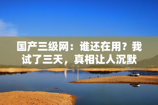 国产三级网：谁还在用？我试了三天，真相让人沉默