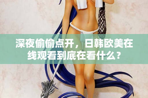 深夜偷偷点开，日韩欧美在线观看到底在看什么？