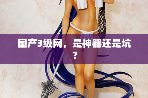 国产3级网,是神器还是坑? 第3张 国产3级网,是神器还是坑? 第3张