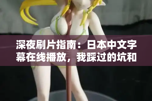 深夜刷片指南：日本中文字幕在线播放，我踩过的坑和私藏神器