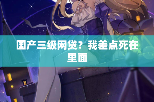 国产三级网贷？我差点死在里面