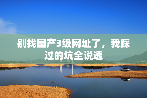 别找国产3级网址了,我踩过的坑全说透 第3张 别找国产3级网址了,我踩过的坑全说透 第3张