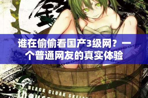 谁在偷偷看国产3级网?一个普通网友的真实体验 第2张 谁在偷偷看国产3级网?一个普通网友的真实体验 第2张