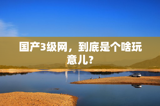 国产3级网,到底是个啥玩意儿? 第2张 国产3级网,到底是个啥玩意儿? 第2张