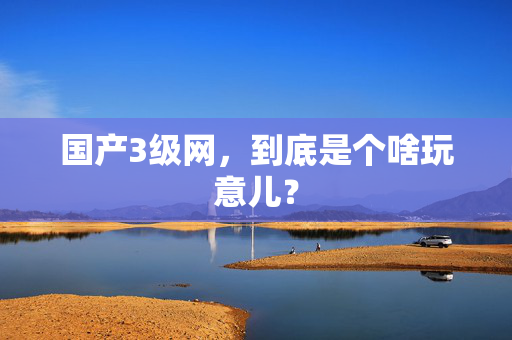 国产3级网,到底是个啥玩意儿? 第3张 国产3级网,到底是个啥玩意儿? 第3张