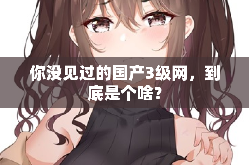 你没见过的国产3级网,到底是个啥? 第2张 你没见过的国产3级网,到底是个啥? 第2张