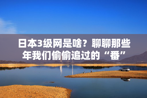 日本3级网是啥？聊聊那些年我们偷偷追过的“番”  第2张