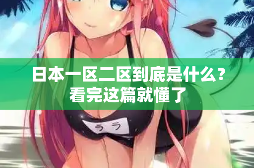 日本一区二区到底是什么?看完这篇就懂了 第1张 日本一区二区到底是什么?看完这篇就懂了 第1张