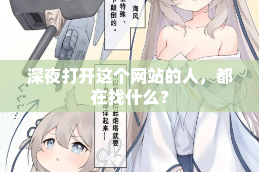 深夜打开这个网站的人,都在找什么? 第2张 深夜打开这个网站的人,都在找什么? 第2张